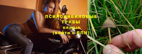 не бодяженный Алзамай
