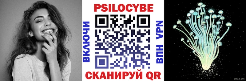 блэк спрут как зайти  Чайковский  Псилоцибиновые грибы ЛСД 